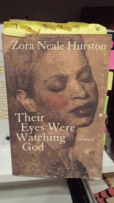 Book den reviews: Their Eyes Were Watching God