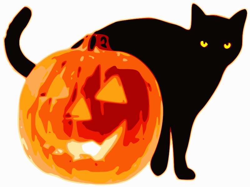 Black cats drew the short straw during Halloween season