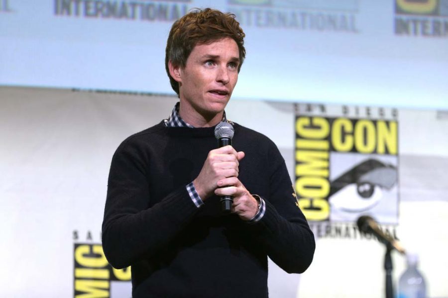 Eddie Redmayne talks about Fantastic Beasts and Where to Find Them and Comic Con