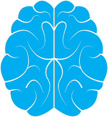 Anxiety can cause chemical imbalances, sleeping problems, coronary disease, heart failure, chronic bronchitis and many other illnesses in the brain, lungs, heart  and digestive track. 