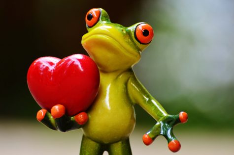 Ten platonic Valentine’s Day gifts