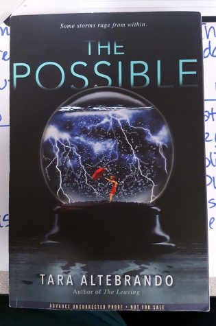 Book Den Reviews: “The Possible”