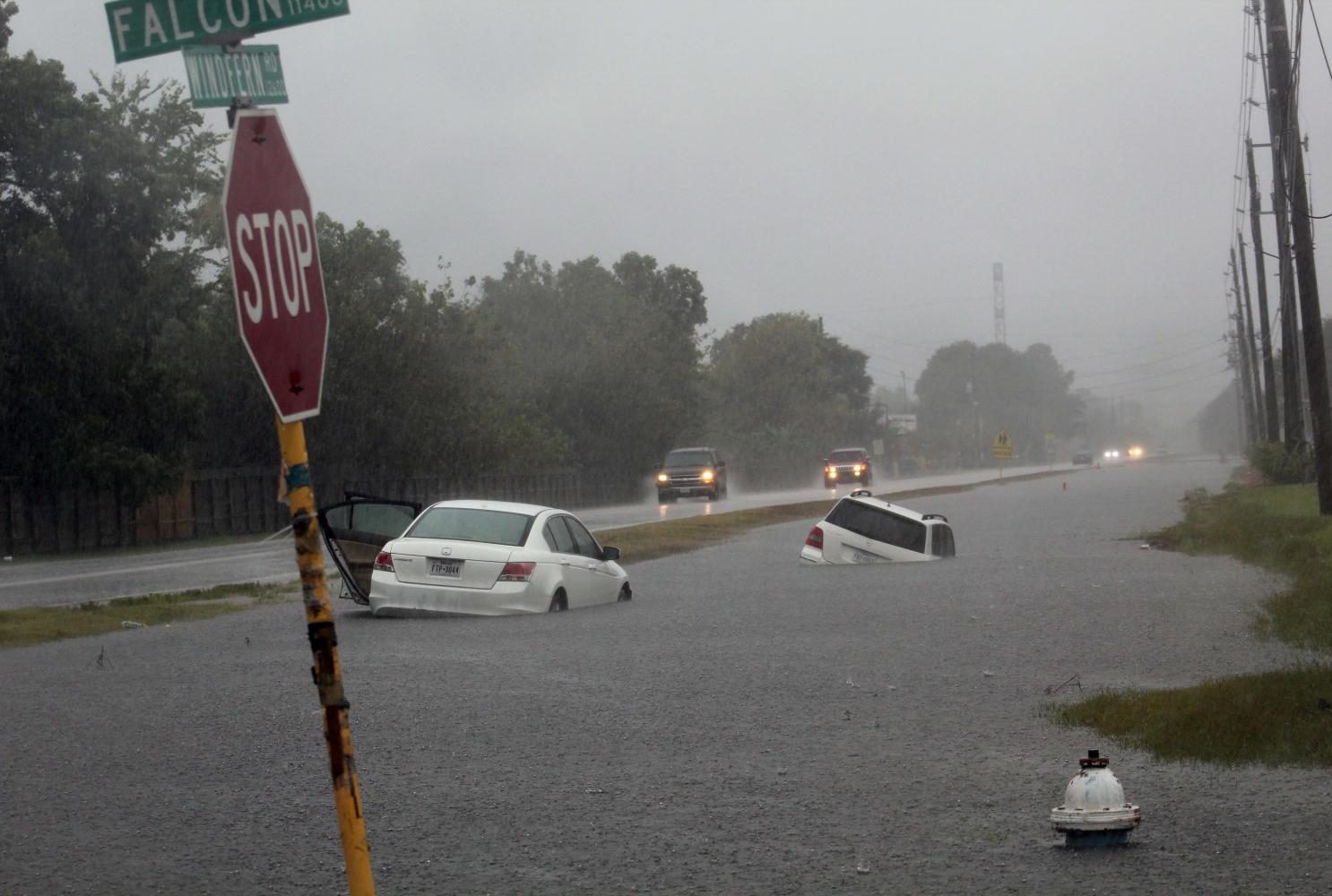 Water rises above abandoned cars on the road.
