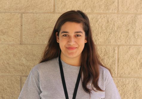 Willow Copeland-Vallejo, Reporter