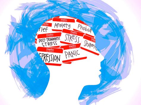How Stress Affects Students