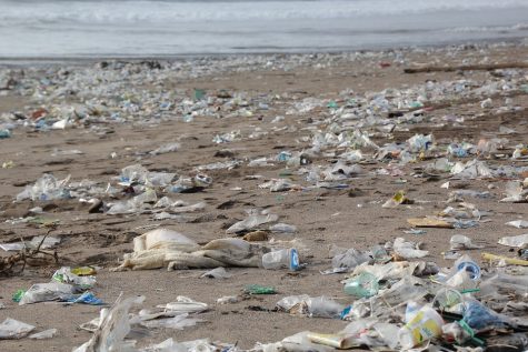 The Biodegradable Debacle: The Problem with Plastic