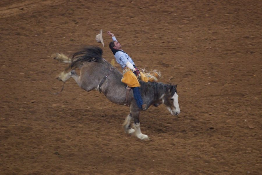 Houston+Rodeo+and+Livestock+show+by+p_a_h+is+licensed+under+CC+BY+2.0