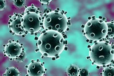 Coronavirus Spreads to the US