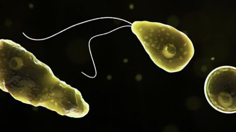 Brain-Eating Amoeba Threatens Lake Jackson