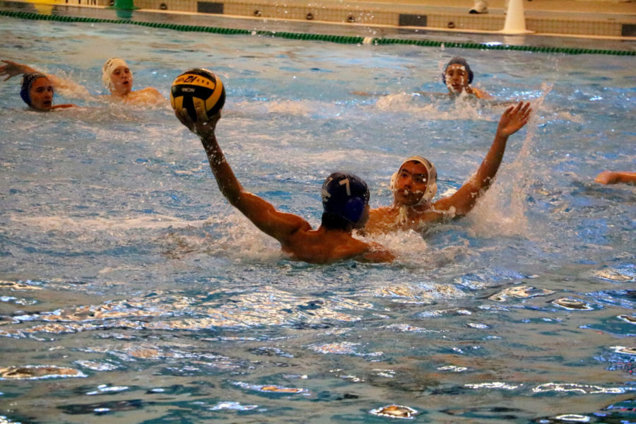 GALLERY: Water polo advances to regionals