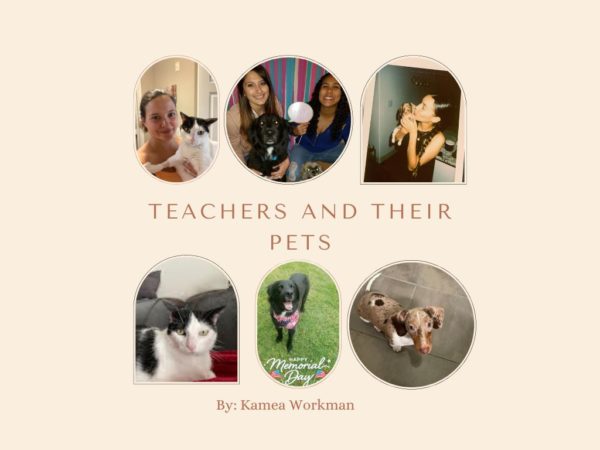 Teachers Pet: Staff share their furry friends