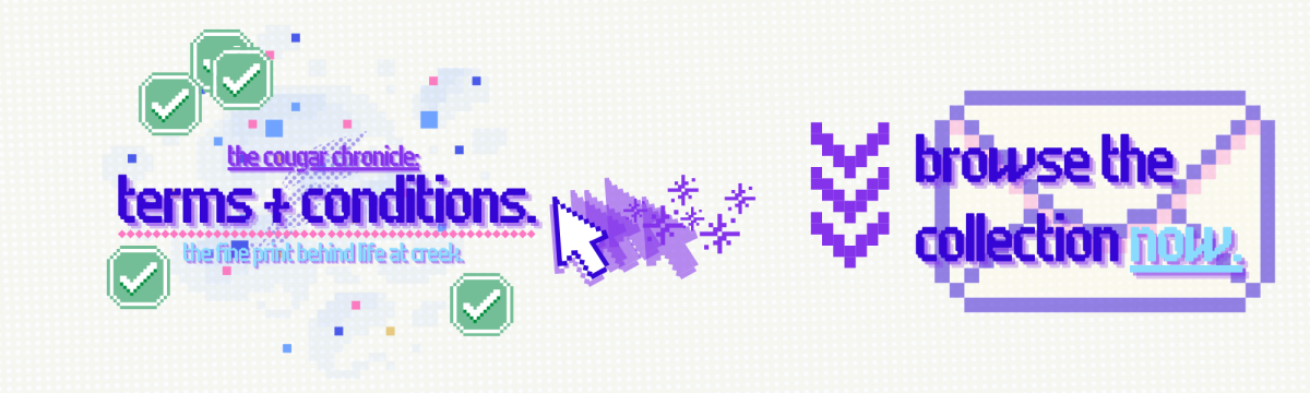 terms + conditions
